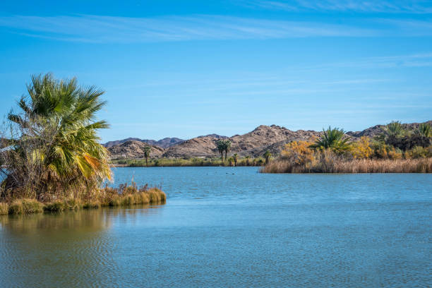 Local Insurance Agency in Yuma, AZ | Yuma Insurance, Inc.